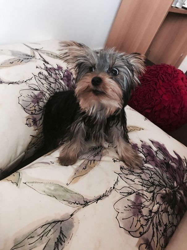 When The Weather Forecast Announces A Heatwave Is On Its Way #middleeast