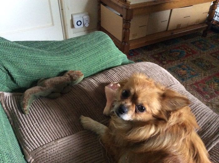 Me Today With My Favourite Food!