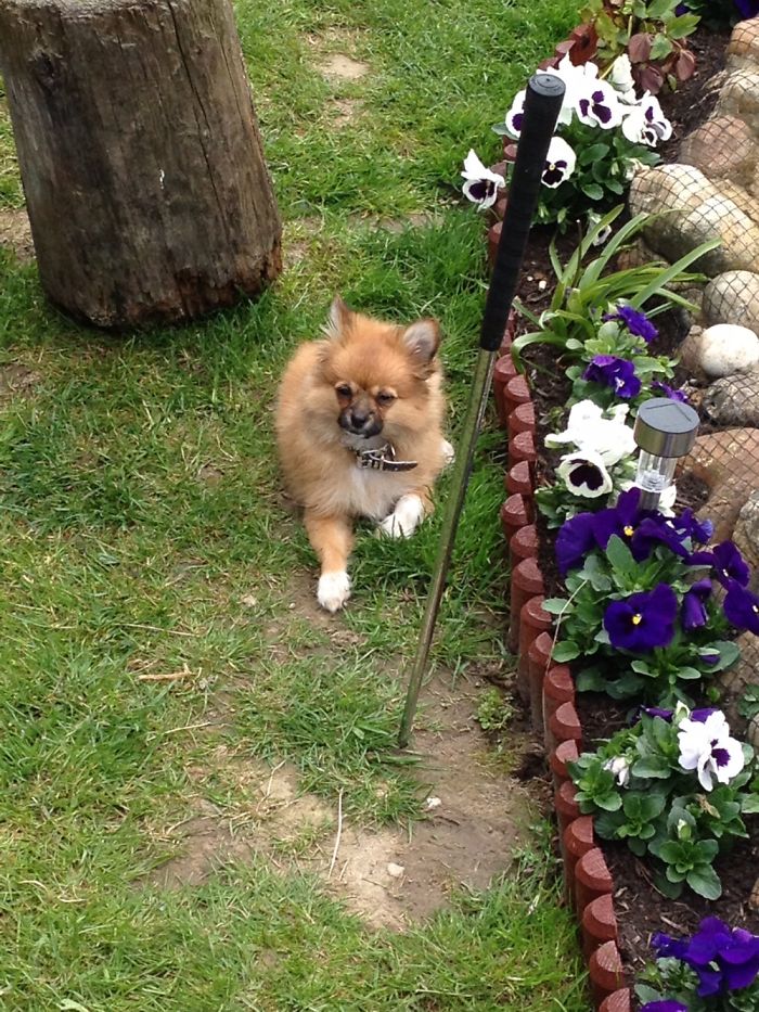 I Was So Cute In 2015