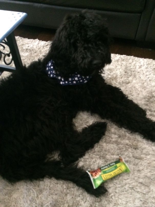 Wondering Were The Granola Bars Went