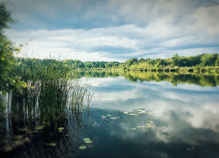 A Little Lake In Town......