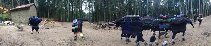 Monsters In The Woods