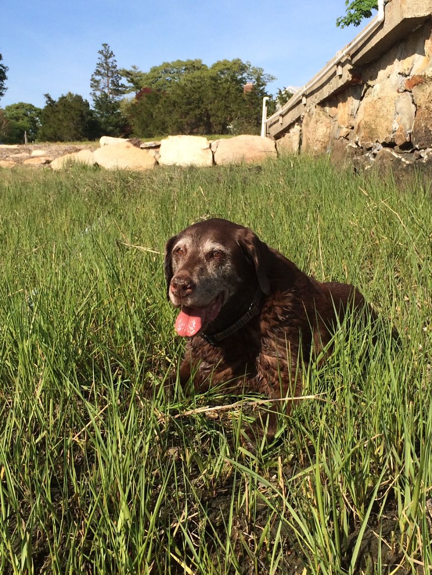 The Lizard, 15. Marion Ma