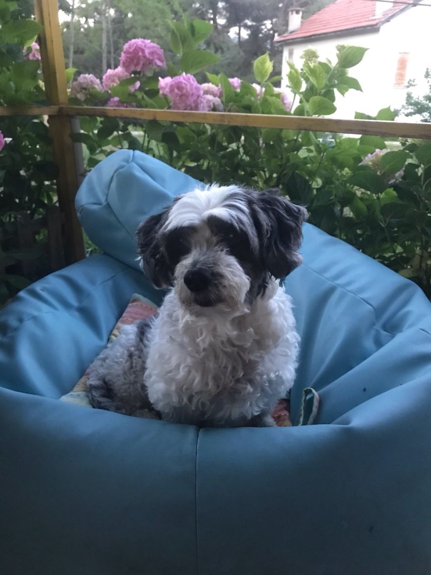 Raya ,14 Years Old. Mersin/ Turkey