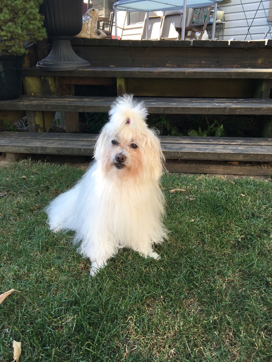 My Sepie (2000~ 2016) Vancouver Canada