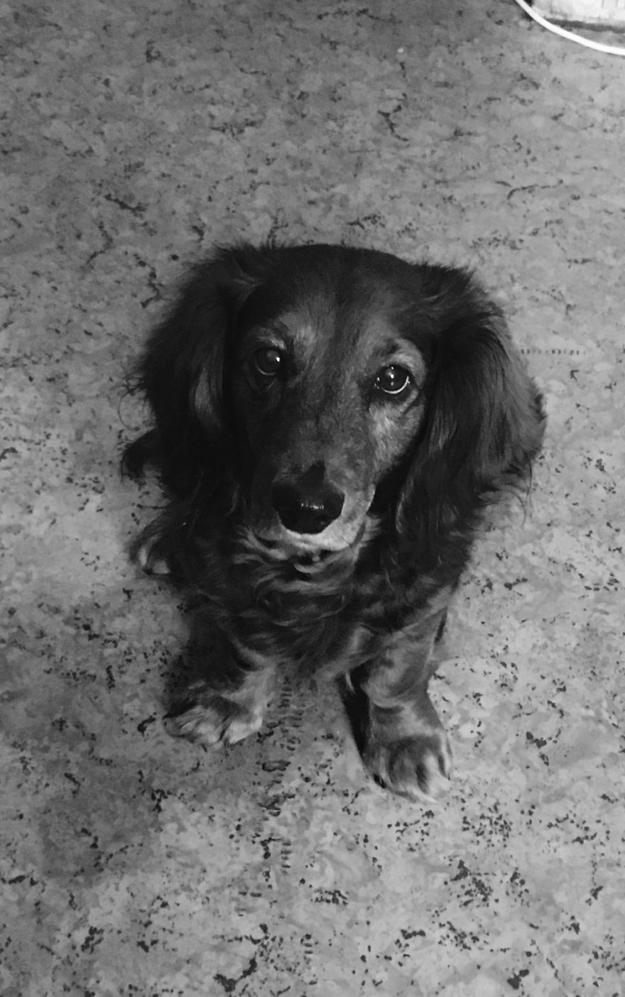 Lada, 13 Years Old, Moscow, Russia