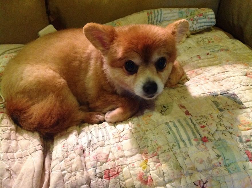 Miss Ruby, 16 Years Old