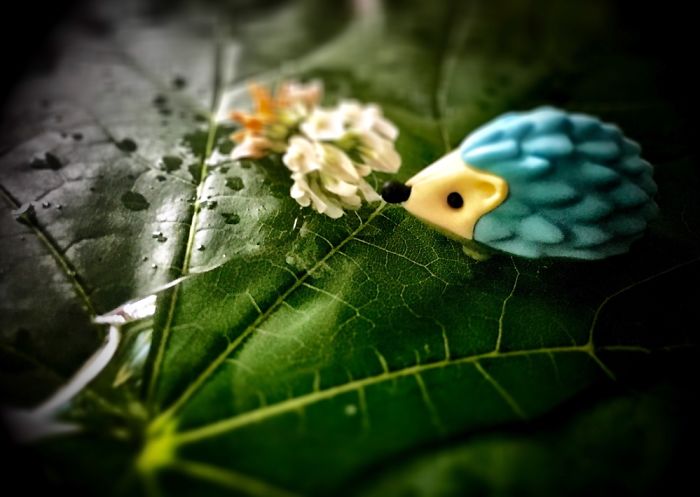 I Just Got Some Ideas For My Mini Toys!