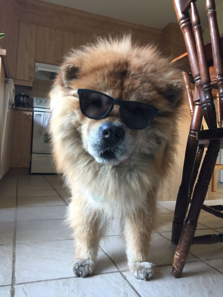 Bubba, 15 Years Old, Montreal, Canada