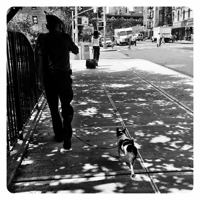 Everyday Life In Nyc. Lower Manhattan