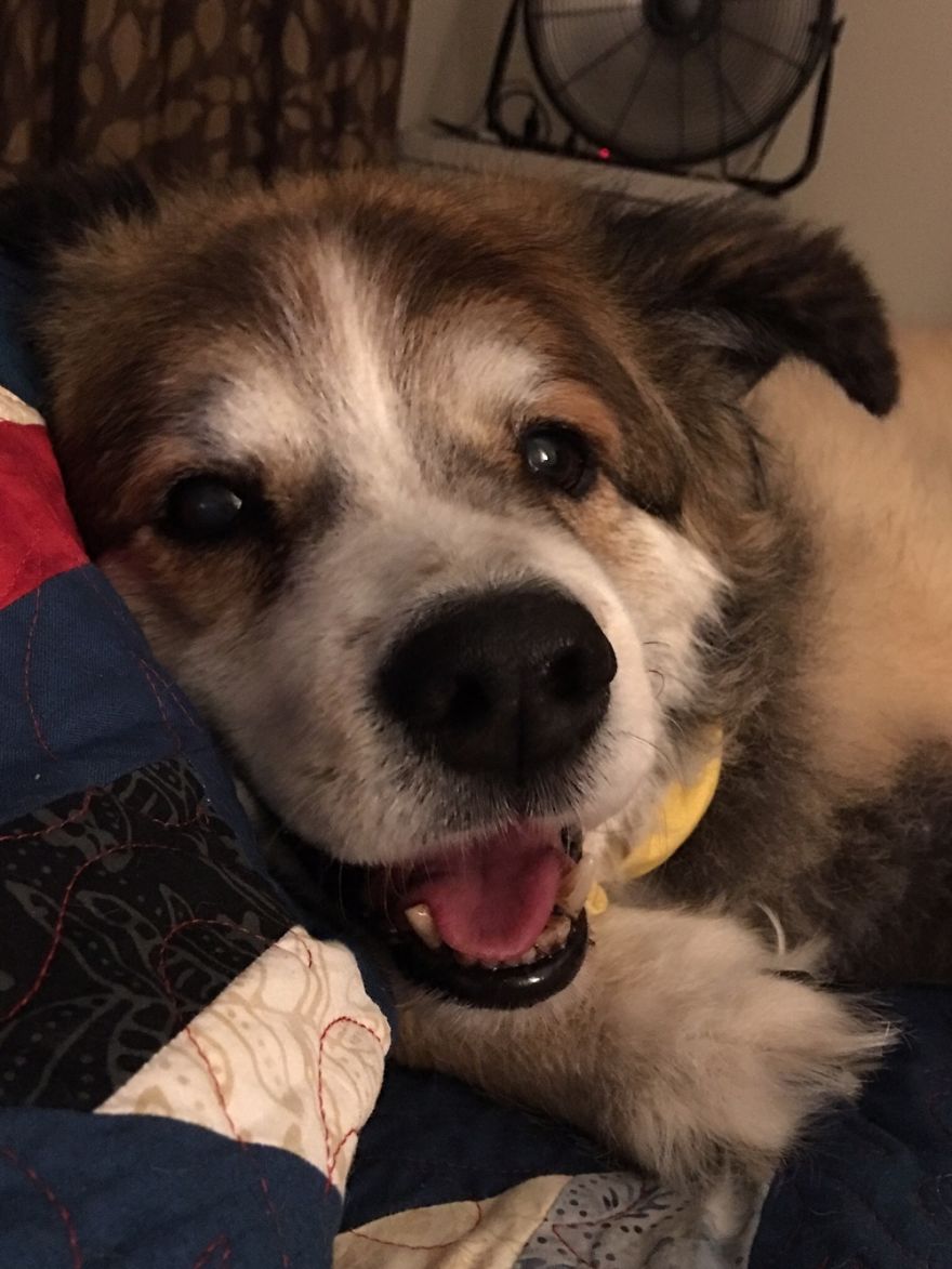 Jack, My Best Friend At 14 Years Old.