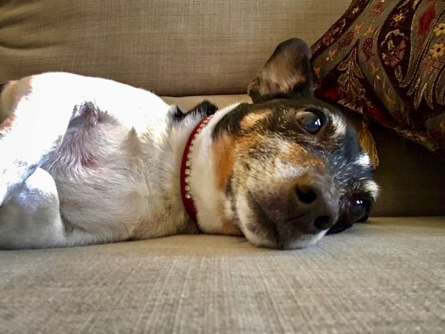 Mika. 12yrs Old. Qatar.