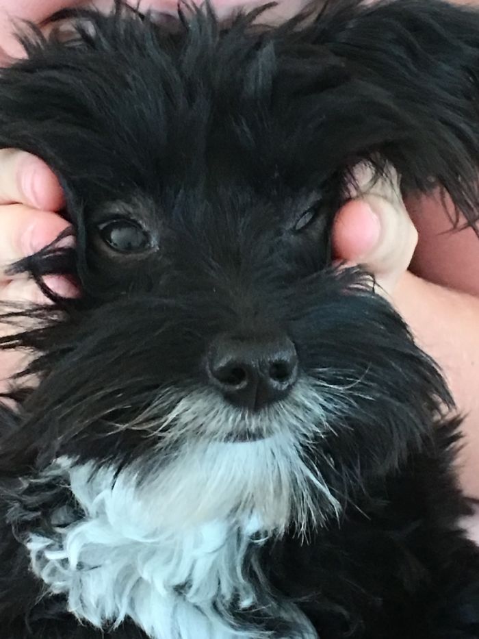 I Couldn't Really Get Mookie's Cheeks Squeezed, But Who Couldn't Resist This Cutie