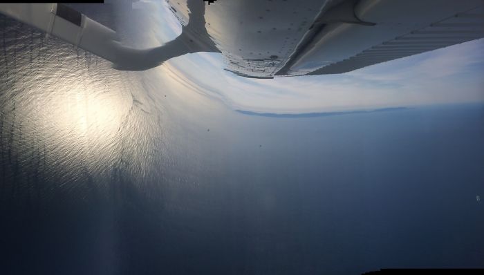 "heading For Linch In Long Beach". Roguepano.