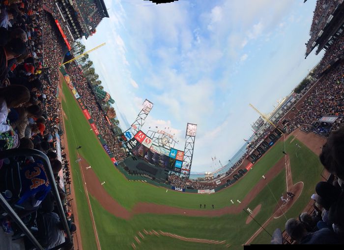 S.f. Giants Level The Playing Field. Roguepano.