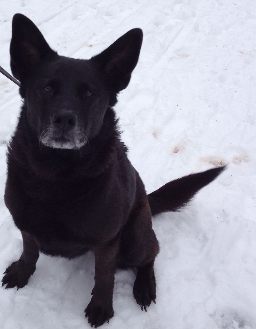 Rosalita, 14 Years Old, Columbus, Ohio
