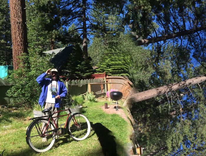 "downhill Cruiser ". Roguepano.