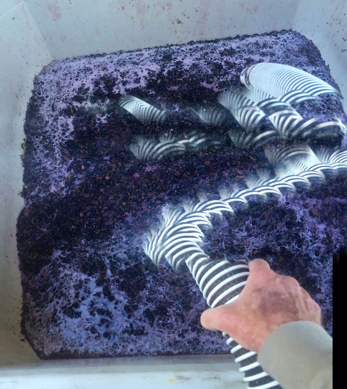 "pumping The Crush". Roguepano.