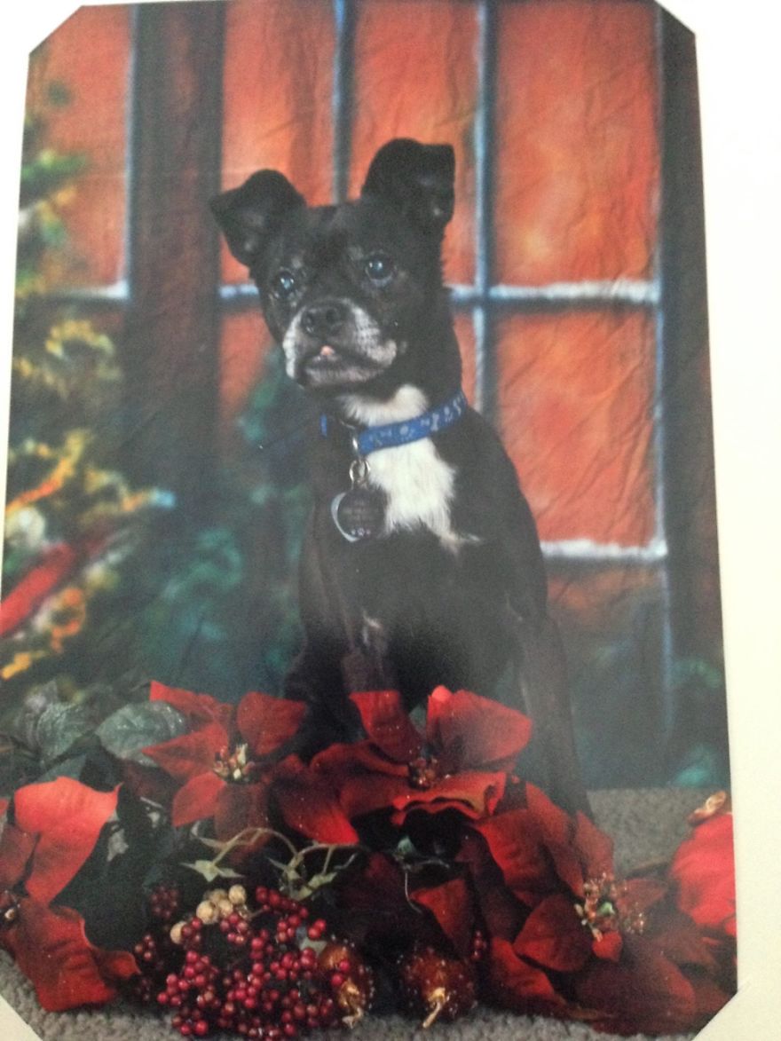 Cookie April 1998-feb 2015