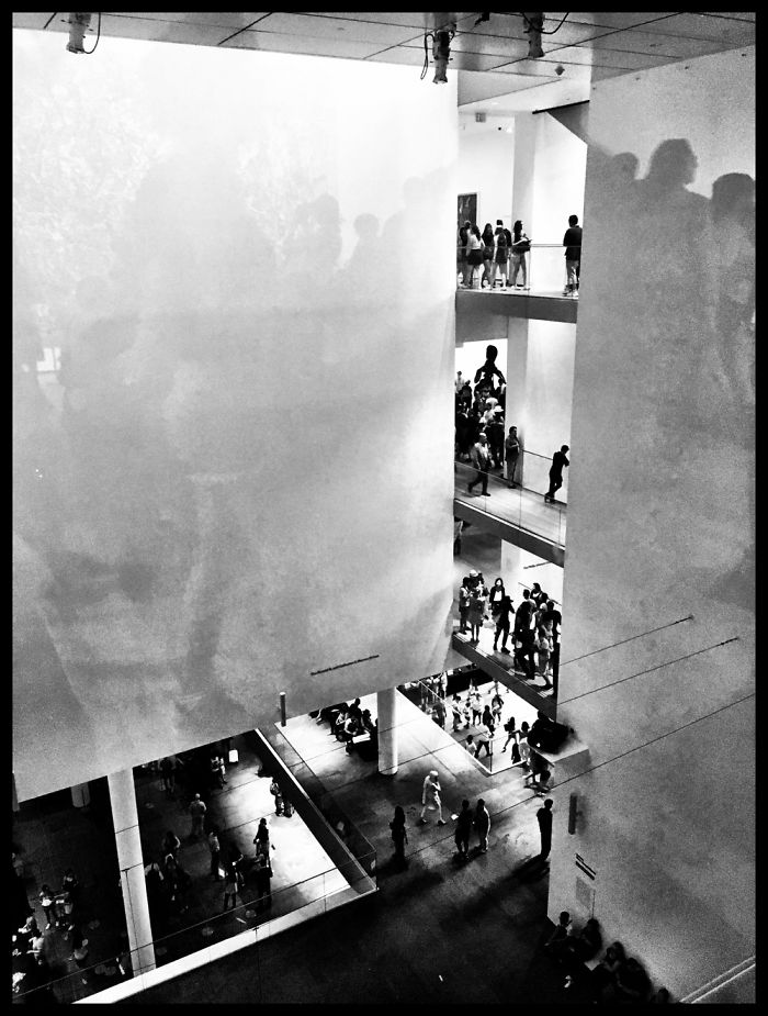 Madison Avenue New York City