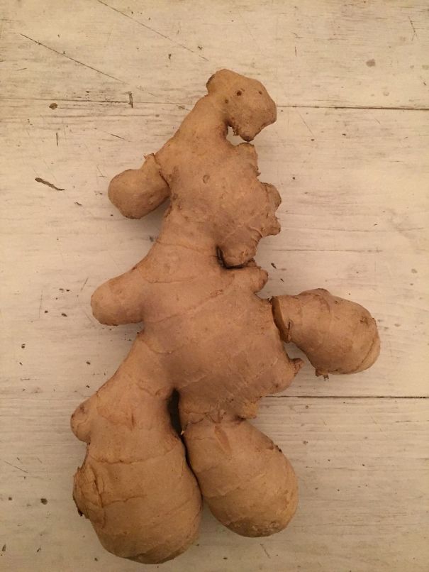 I Was Looking For Ginger And Found The Weeknd Instead