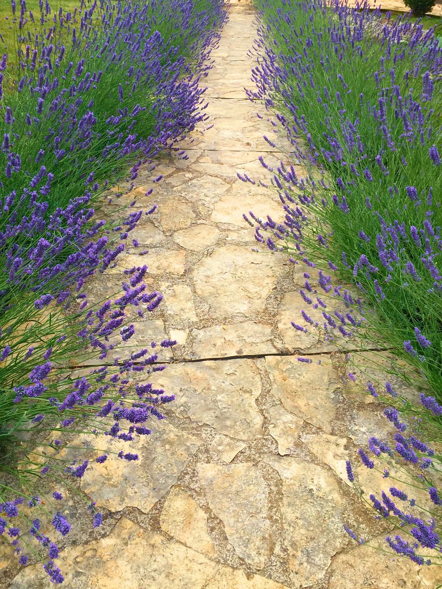 I Only Use My Iphone 6 To Capture My Travel Adventures