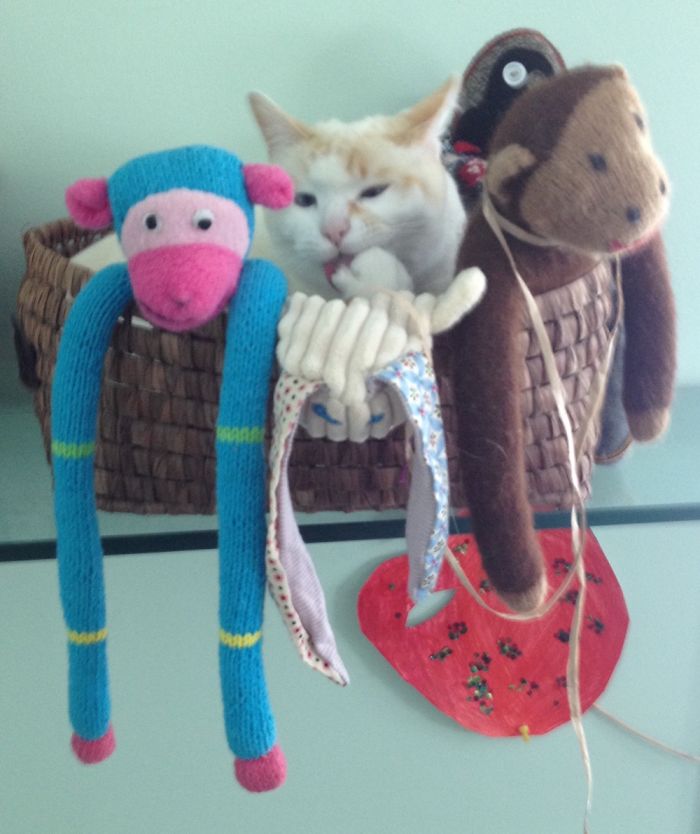 The Princess And Her Entourage