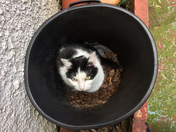 Mignonne In The Bin