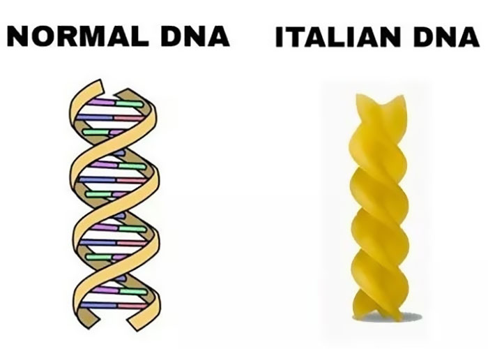 Meme that Italian DNA looks like pasta