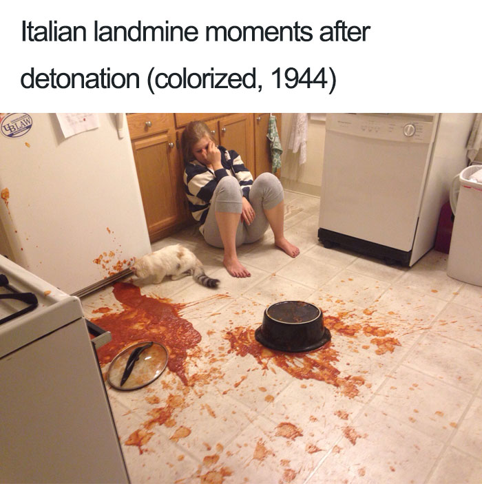 Woman sitting on the kitchen floor looking her cat eating spilled tomato sauce