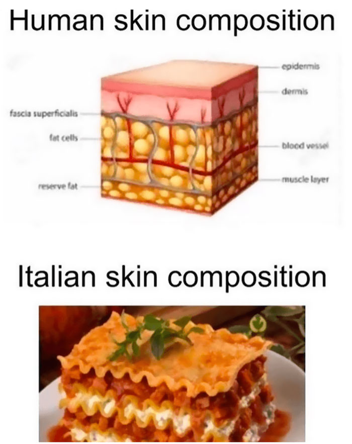 Human skin and italian skin as lasagne layers meme 