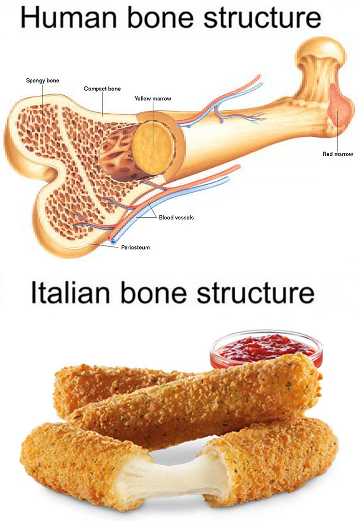 Human vs Italian bone structure meme 