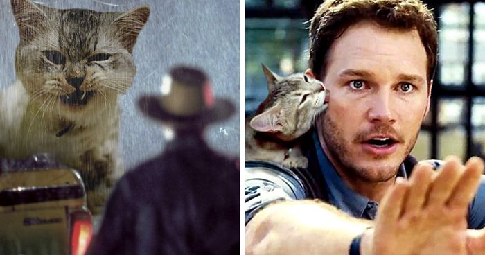 Someone Replaced Jurassic Park Dinosaurs With Cats, And It’s Hilarious