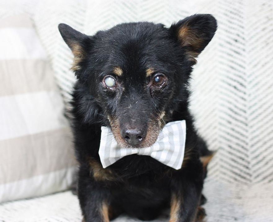 Kaziu, 19 Years Old, Poland, Trzebnica