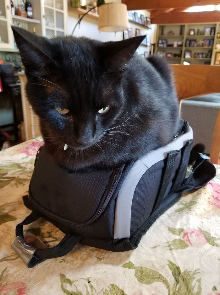 I Don't Care How Much You Spent On This Camera Equipment.....