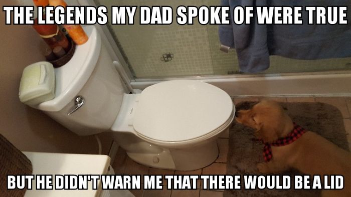 I Took Photos Of My 4-month-old Puppy & Added Captions To Them Of Her Thoughts