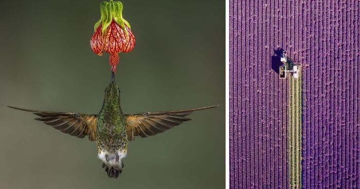 30 Of The Best Photos From 2017 National Geographic Traveler Contest’s Nature Category