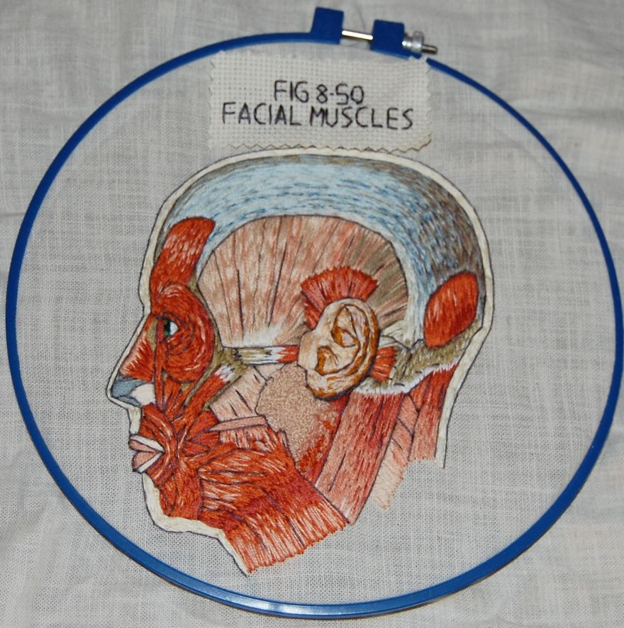 I Started Creating Anatomical Embroidery After I Had An Extensive Facial Surgery