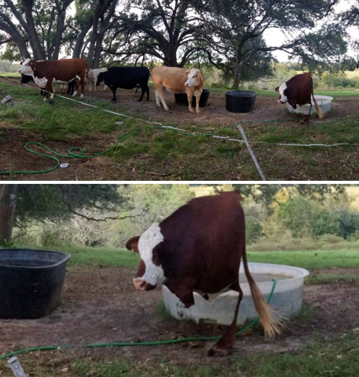 My First Try At A Panoramic Picture. Didn't Work To Well