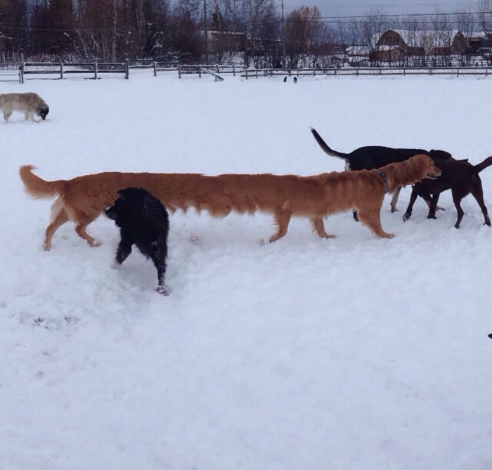 A Panoramic Gone Wrong. What Have I Created?