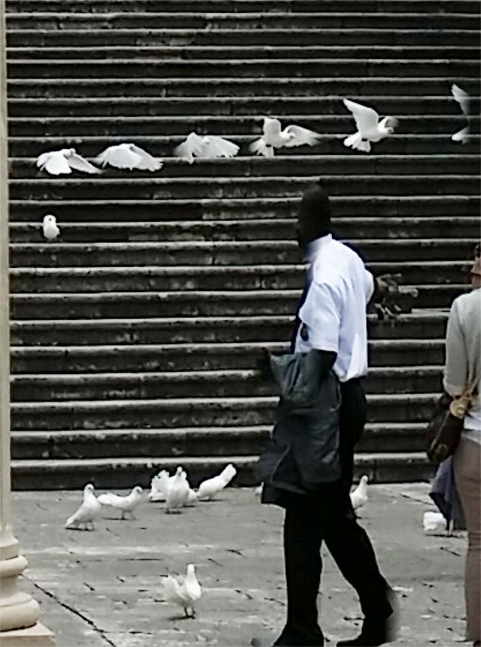 Was Taking A Panorama Photo With My Mobile Phone And I Captured A Bird Flying In Sequence