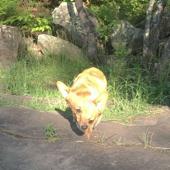 Panoramic Photo Fail