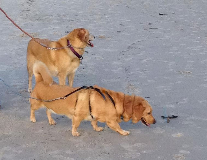 He Couldn't "Stay" Long Enough For The Panoramic Photo