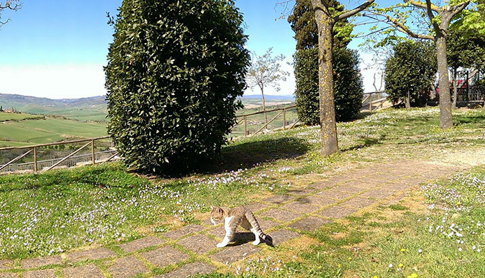 I Tried Taking A Nice Panoramic Picture Yesterday