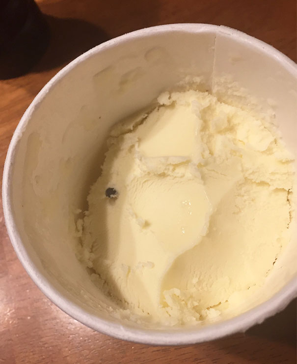 My Chocolate Chip Ice Cream