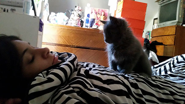 He Sat On My Girlfriend Until She Woke Up