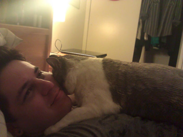 I Never Let My Cat On My Bed Because He Would Shed All Over. I Finally Got Him Shaved And Woke Up To This At 4 Am