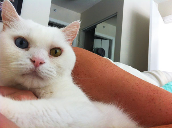 Went Home With A Girl Last Night. Woke Up To This