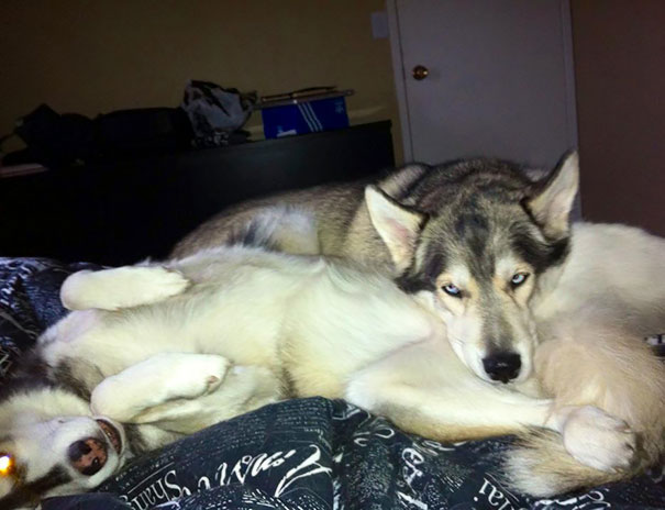 Woke Up Unable To Move My Legs. This Probably Had Something To Do With It