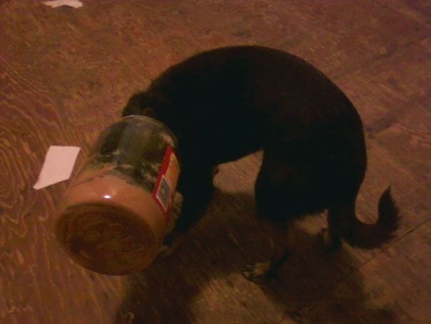 I Woke Up To A Banging On My Door This Morning, Opened It To Find This